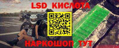 соль ск Новодвинск