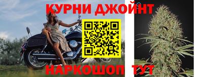 apvp Новозыбков