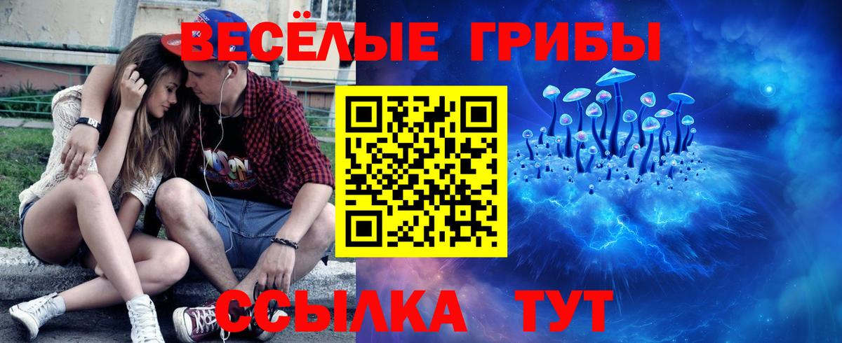 Галлюциногенные грибы Psilocybe Среднеуральск