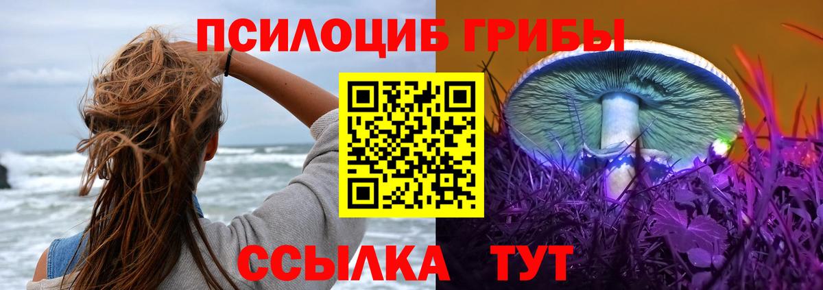 Галлюциногенные грибы GOLDEN TEACHER  Вход с VPN  Среднеуральск  Псилоцибиновые грибы прущие грибы 
